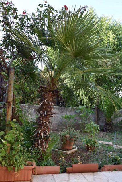 Apartman Kristina Apartman Split Kültér fotó