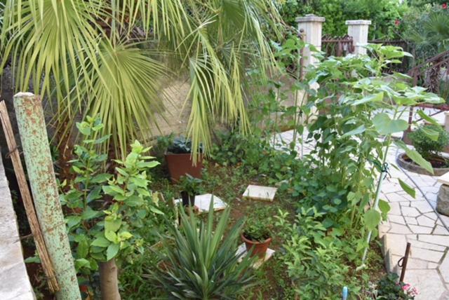 Apartman Kristina Apartman Split Kültér fotó